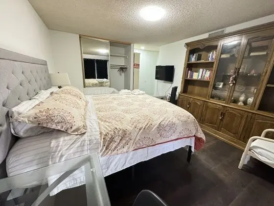 Premium Tek Kişilik Oda, 1 En Büyük (King) Boy Yatak, Sigara İçilmez, Bahçe Manzaralı