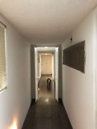 Premium Tek Kişilik Oda, 1 En Büyük (King) Boy Yatak, Sigara İçilmez, Bahçe Manzaralı
