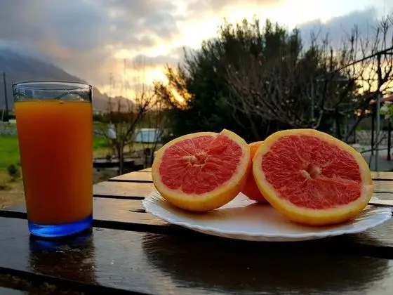 Villa, Birden Çok Yatak