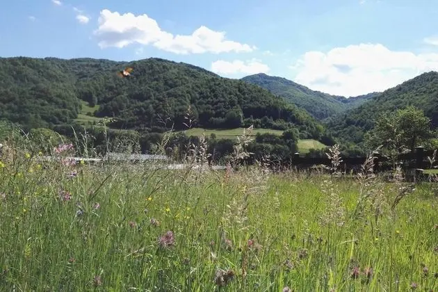 Villa, Birden Çok Yatak