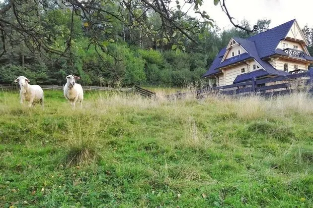 Villa, Birden Çok Yatak