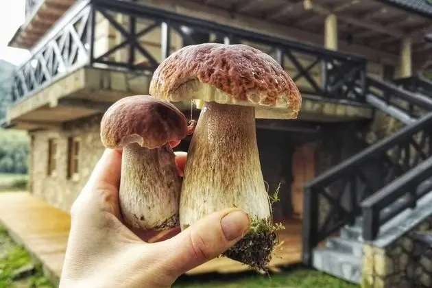 Villa, Birden Çok Yatak