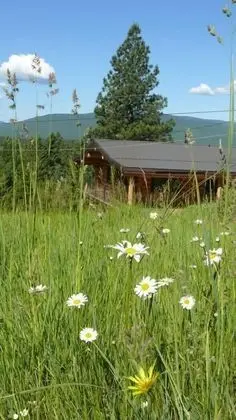 Dağ Evi, Birden Çok Yatak (Beautiful Log Chalet Near Fernie, B.c)