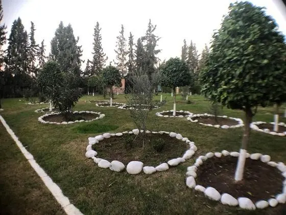 Apart Daire, Birden Çok Yatak