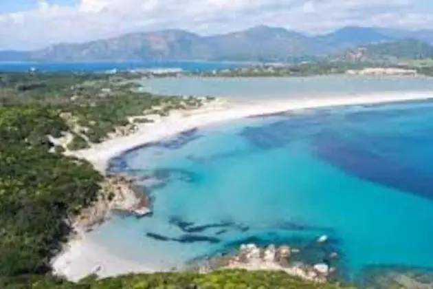 Daire, 3 Yatak Odası, Sigara İçilebilir, Sıcak Su Havuzu