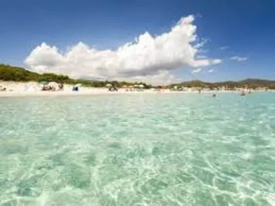 Daire, 3 Yatak Odası, Sigara İçilebilir, Sıcak Su Havuzu