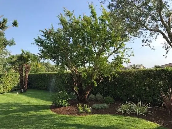 Villa, 5 Yatak Odası, Şömine