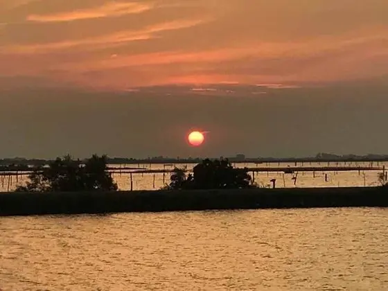 Villa, 5 Yatak Odası, Şömine