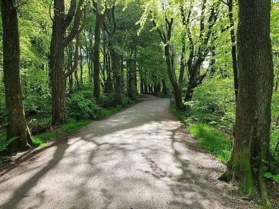 Apart Daire, 2 Yatak Odası, Balkon