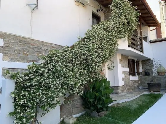 Apart Daire, 2 Yatak Odası, Sigara İçilebilir, Balkon