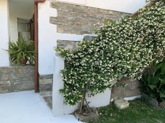 Apart Daire, 2 Yatak Odası, Sigara İçilebilir, Balkon