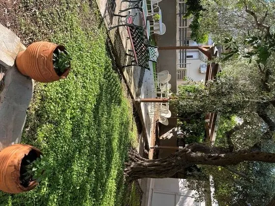 Oda, 1 Yatak Odası, Sigara İçilebilir, Balkon