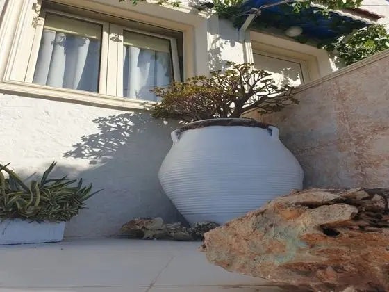 Oda, 1 Yatak Odası, Balkon