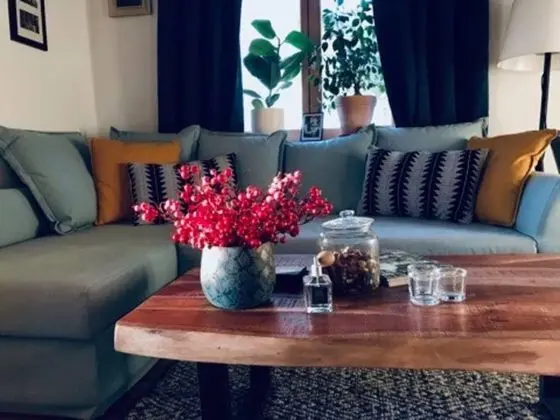 Kır Evi, 1 Büyük (Queen) Boy Yatak ve Çekyat