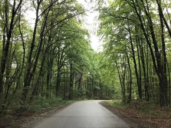 Kır Evi, 1 Büyük (Queen) Boy Yatak ve Çekyat