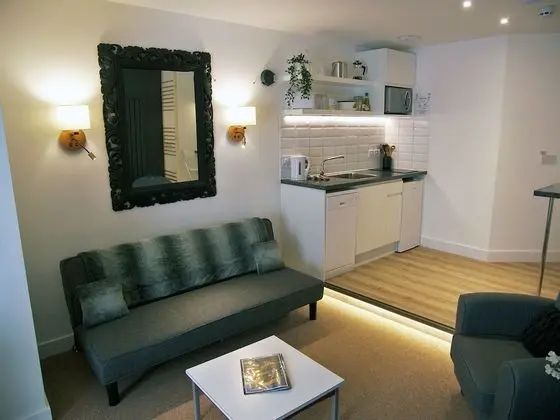 Deluxe Stüdyo, Özel Banyo (Flat 1)