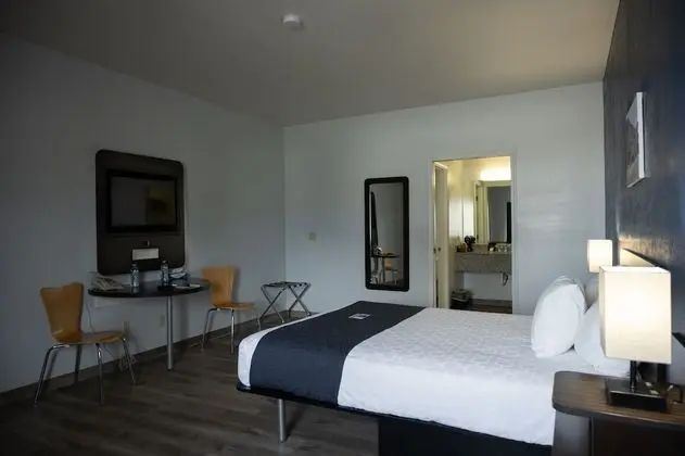 Standard Oda, 1 Büyük (Queen) Boy Yatak, Sigara İçilmez, Şehir Manzaralı (1 Bedroom)