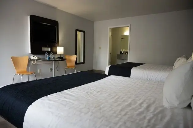 Standard Oda, 2 Büyük (Queen) Boy Yatak, Sigara İçilmez, Şehir Manzaralı (1 Bedroom)