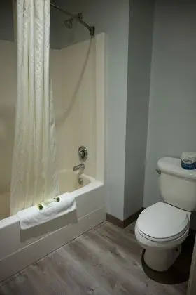 Standard Oda, 2 Büyük (Queen) Boy Yatak, Sigara İçilmez, Şehir Manzaralı (1 Bedroom)