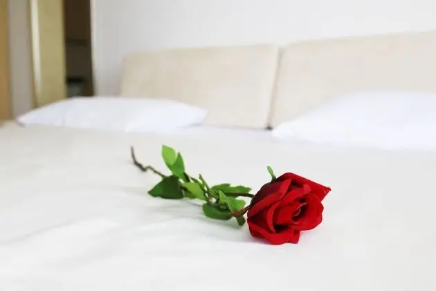 Apart Daire, 1 Yatak Odası, Engellilere Uygun, Teras