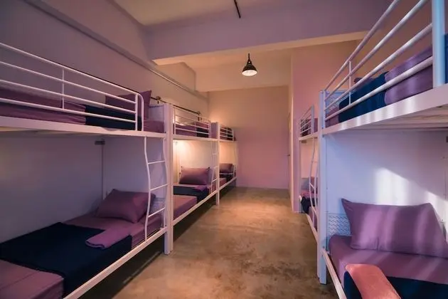 Premium Ortak Ranzalı Oda, Karma Ranzalı Oda, Şehir Manzaralı