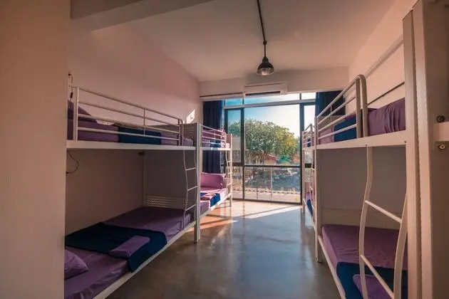 Premium Ortak Ranzalı Oda, Karma Ranzalı Oda, Şehir Manzaralı