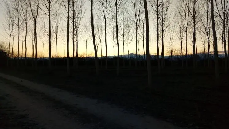 Traditional Süit, Avlu Manzaralı