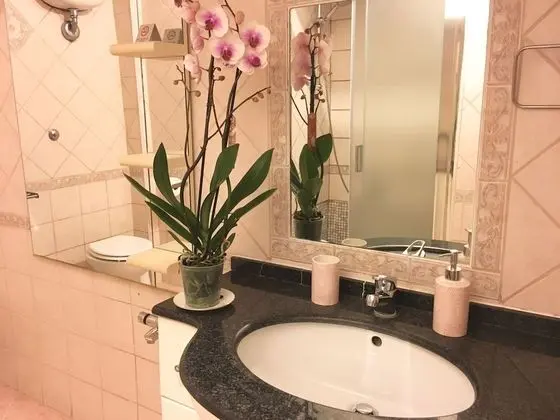 Tek Büyük veya İki Ayrı Yataklı Oda, Özel Banyo (External)