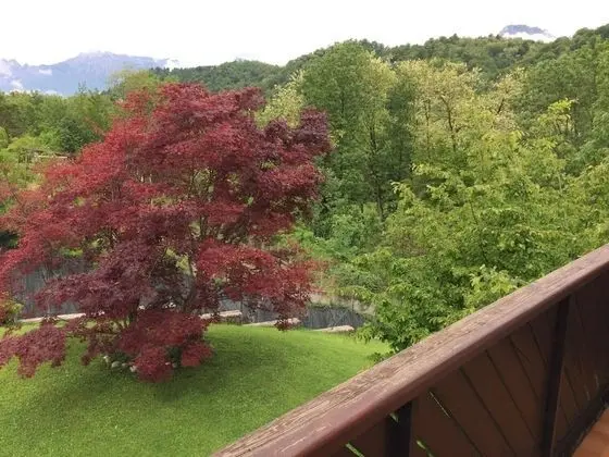 Üç Kişilik Oda, Özel Banyo (External)