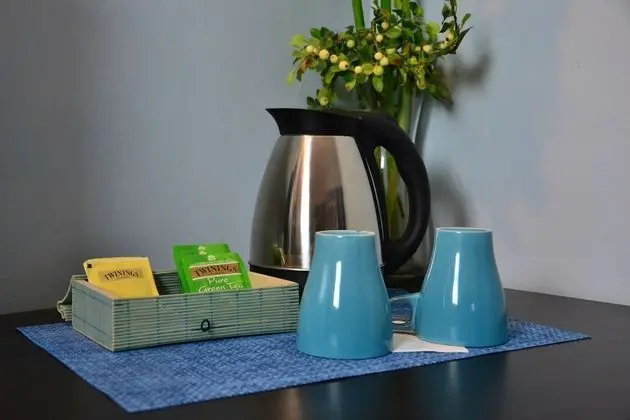 Superior Tek Büyük Yataklı Oda