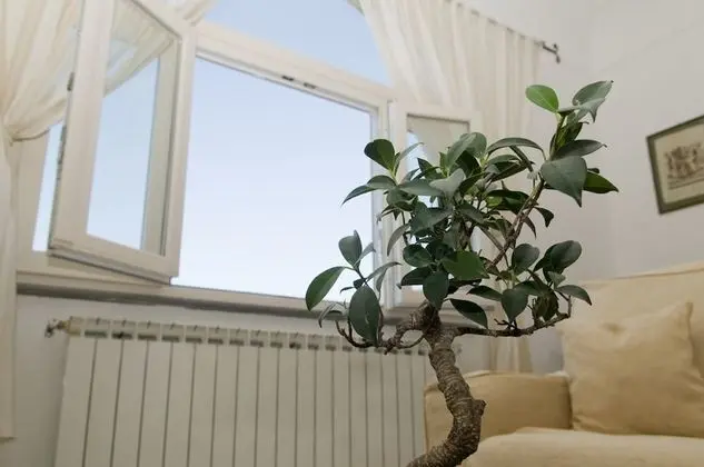 Tek Büyük Yataklı Oda, Balkon, Deniz Manzaralı