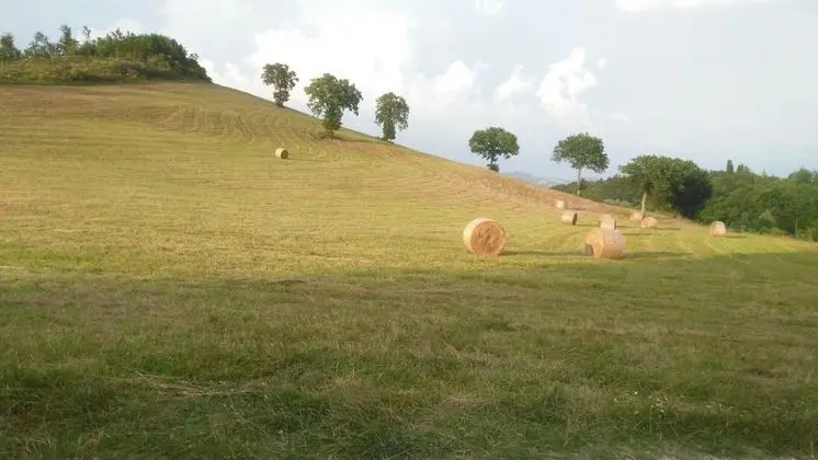 Romantic Tek Büyük Yataklı Oda