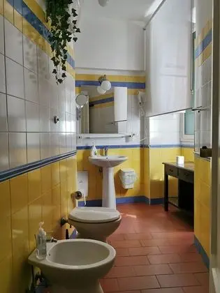Süit