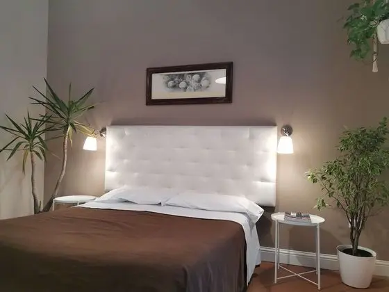Tek Büyük veya İki Ayrı Yataklı Oda (Private External Bathroom)