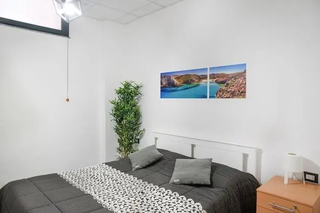 Üç Kişilik Oda (Cala domestica)