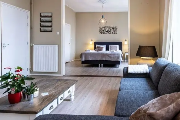 Superior Tek Büyük Yataklı Oda