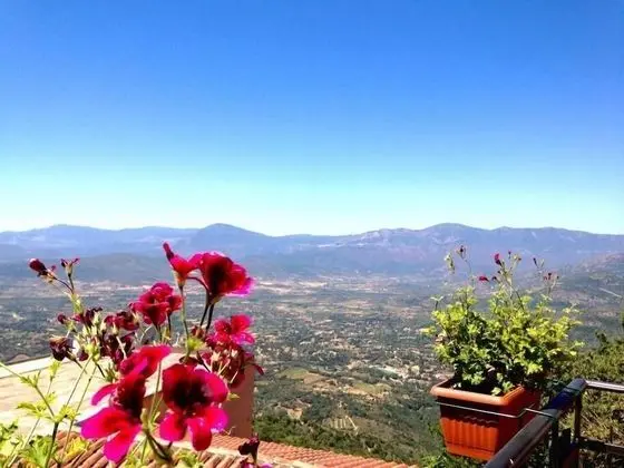 Panoramic Tek Büyük Yataklı Oda, 1 En Büyük (King) Boy Yatak, Sigara İçilmez, Balkon