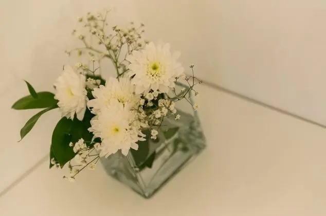 Comfort Oda, 1 Yatak Odası, Şehir Manzaralı