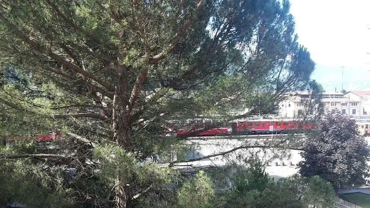 Comfort Tek Büyük veya İki Ayrı Yataklı Oda