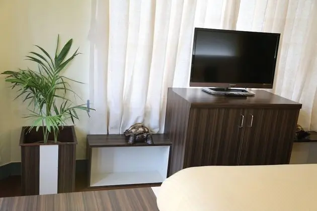 Deluxe Tek Büyük Yataklı Oda, Banyolu/Duşlu