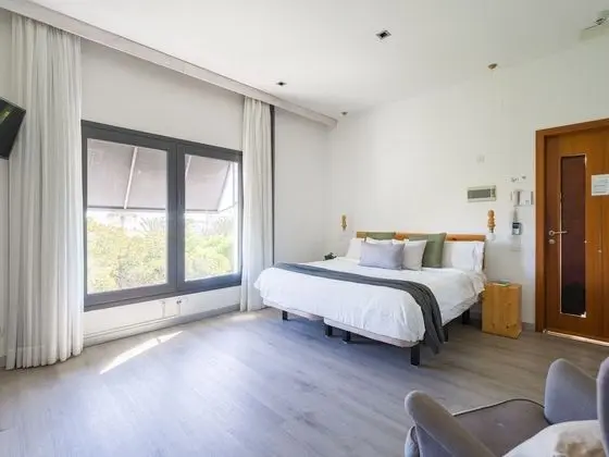 Çatı Katı Süiti (Penthouse), Park Manzaralı