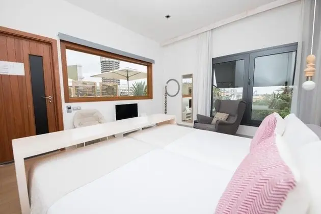 Çatı Katı Süiti (Penthouse), Park Manzaralı