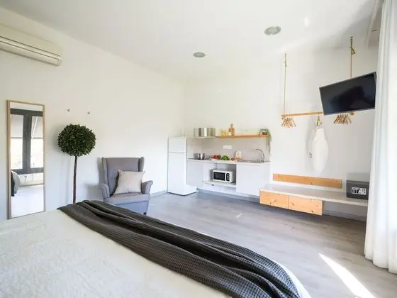 Çatı Katı Süiti (Penthouse), Park Manzaralı