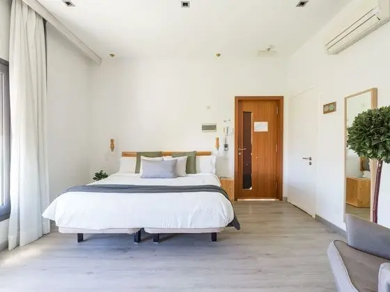 Çatı Katı Süiti (Penthouse), Park Manzaralı