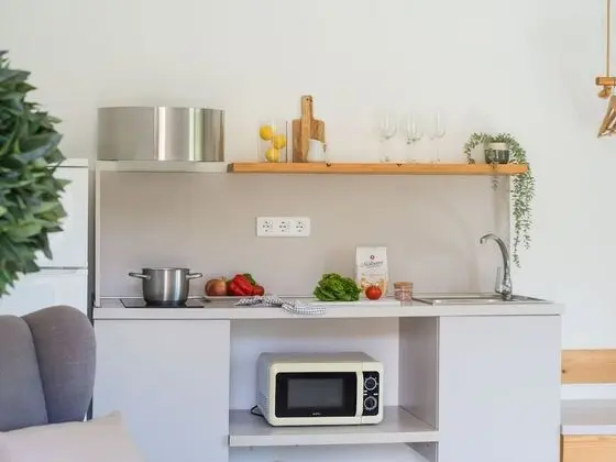 Çatı Katı Süiti (Penthouse), Park Manzaralı