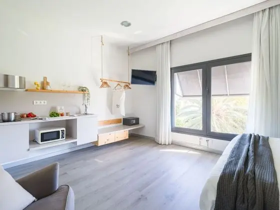 Çatı Katı Süiti (Penthouse), Park Manzaralı