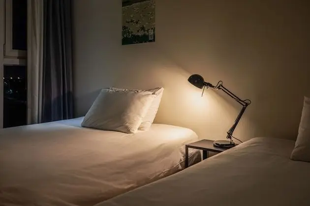 Deluxe Oda, 2 Çift Kişilik Yatak, Sigara İçilmez, Şehir Manzaralı
