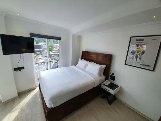 Deluxe Oda, 1 Büyük (Queen) Boy Yatak, Sigara İçilmez, Şehir Manzaralı