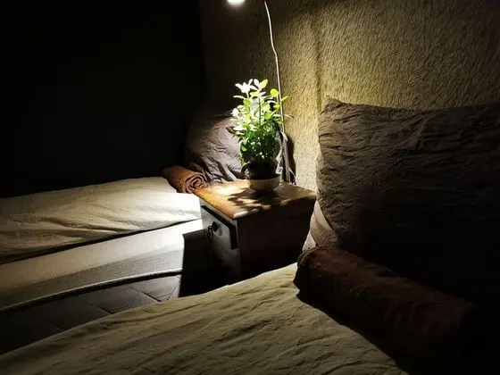 Comfort İki Ayrı Yataklı Oda, 2 Tek Kişilik Yatak, Dağ Manzaralı