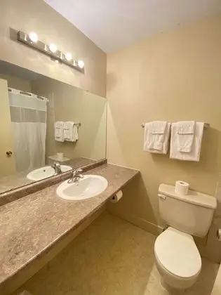 Basic Single Queen Room